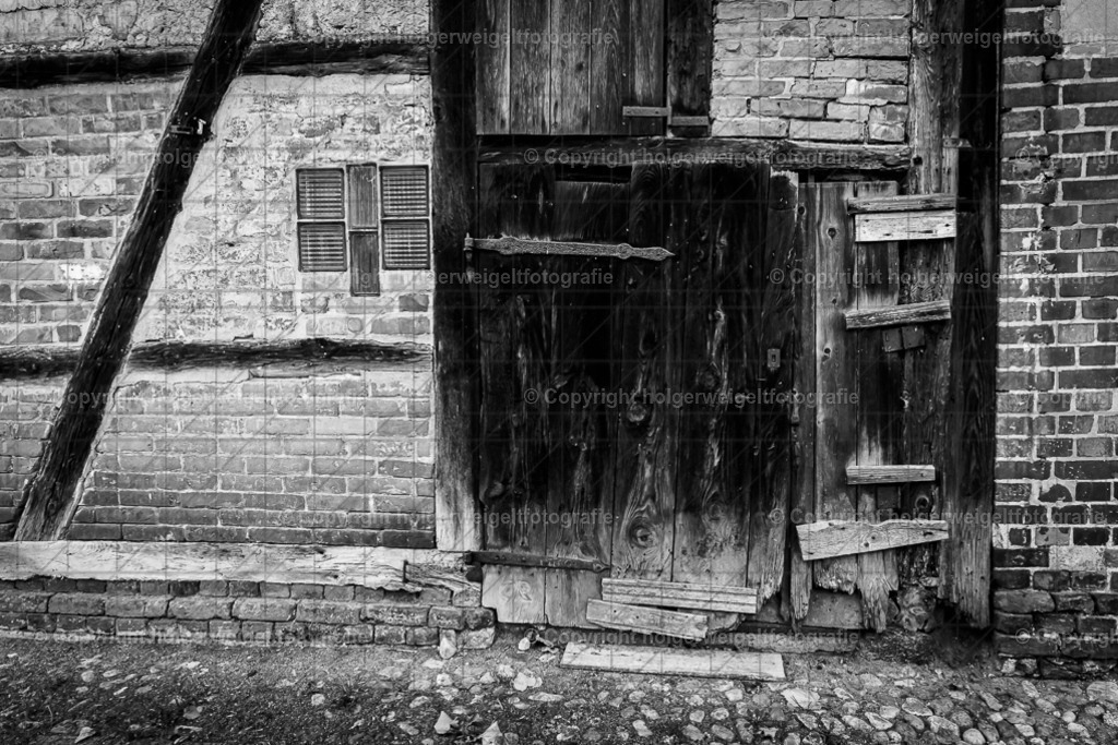 20221008123233D75_0726 | Kaufen sie online außergewöhnliche Fotografien auf Leinwand Acrylglas Fotoprint Aludibond von holgerweigeltfotografie - Realisiert mit Pictrs.com