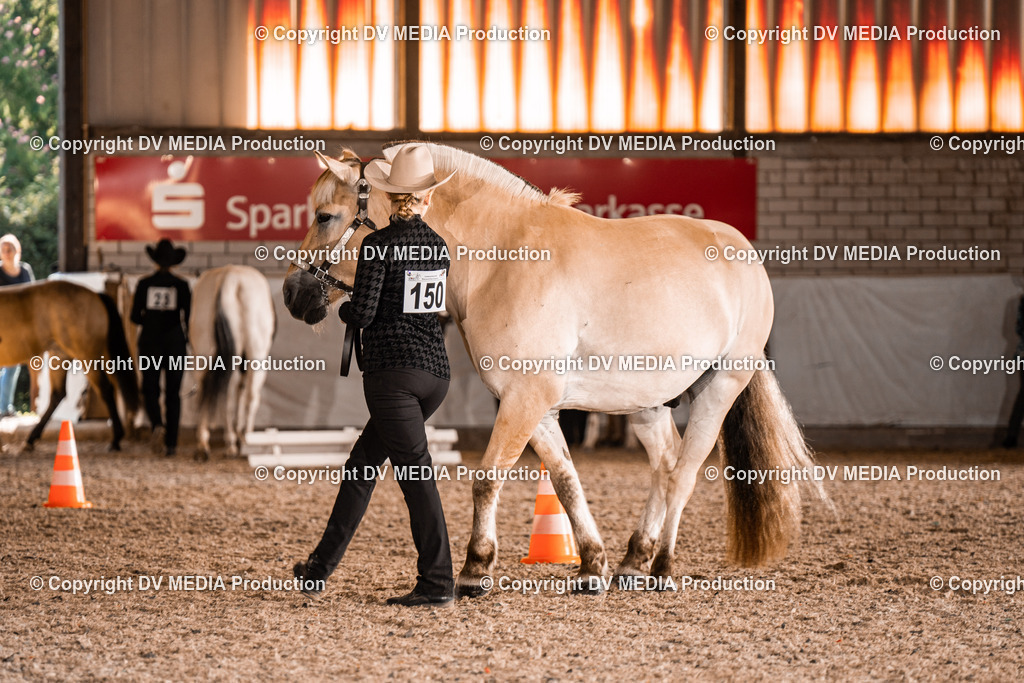 ZH100078 | dv-media-shop - Realisiert mit Pictrs.com