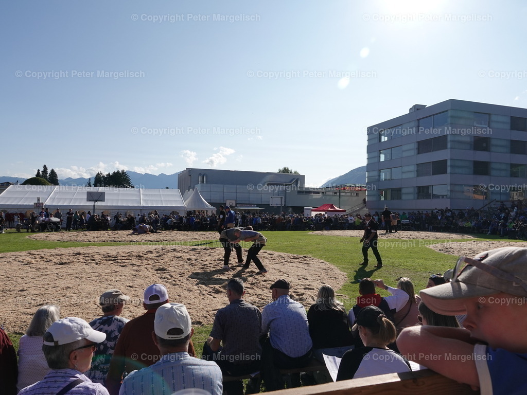 DSC05561 | Schwingen - Realisiert mit Pictrs.com