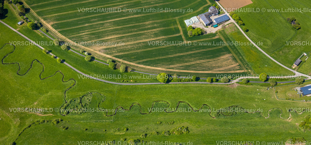 Brilon240503494 | Luftbild, Flussmäander Hunderbecke, naturnahe Landschaft, Bernd Hilkenbach Landwirtschaftsbetrieb, Brilon, Sauerland, Nordrhein-Westfalen, Deutschland