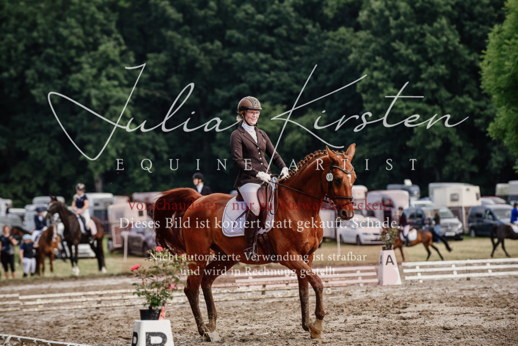 DSC_9692 | Pferde- und Turnierfotografie in Westsachsen. Pferdeportraits, Auftragszeichnungen und intuitive Kunst.
