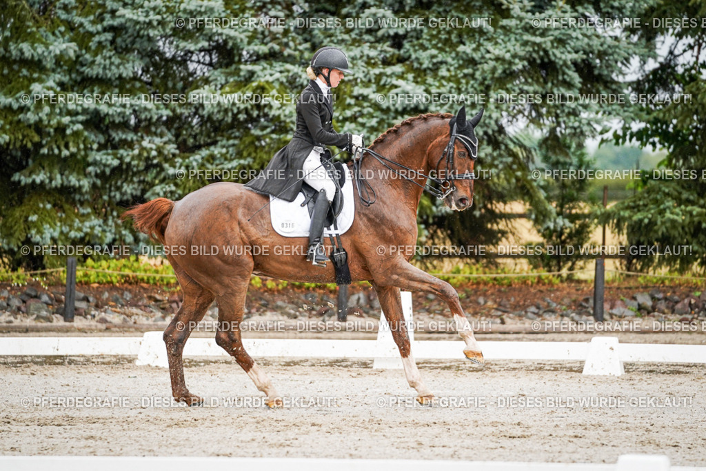 DSC09375 | Pferdegrafie