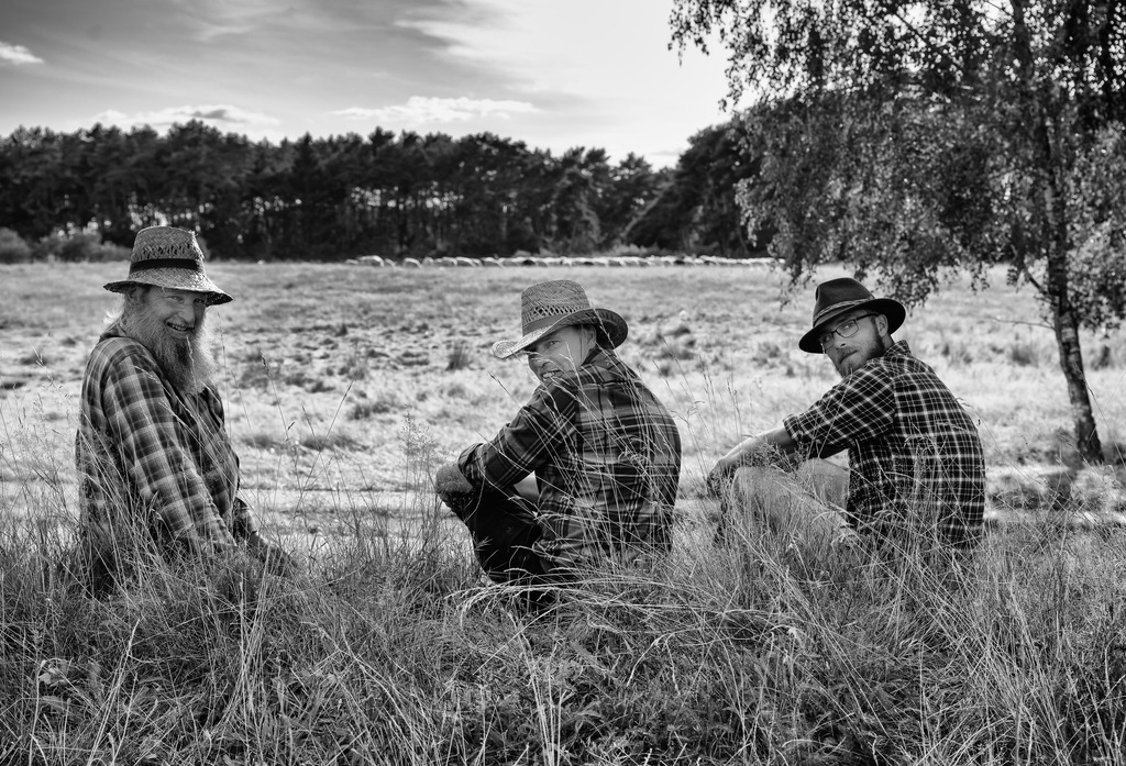 wanderschaefereien-schleswig-holstein-001 | Szene vom Hütetag 2021. Gelegentlich treffen sich die Wanderschäferinnen und Wanderschäfer
aus Schleswig-Holstein an einem Tag im Sommer zum Erfahrungsaustausch, zu
Trainingszwecken oder zum geselligen Beisammensein. hier in der Barker Heide. - Realisiert mit Pictrs.com