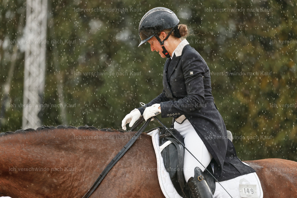 8_2-149-DRESSUR S_  -StoibPH-4487 | working equitationturnier fotograf videograf stoibphotography marixx film working equitation deutschland reitsport turnierfotografie eventfotografie equestrian events