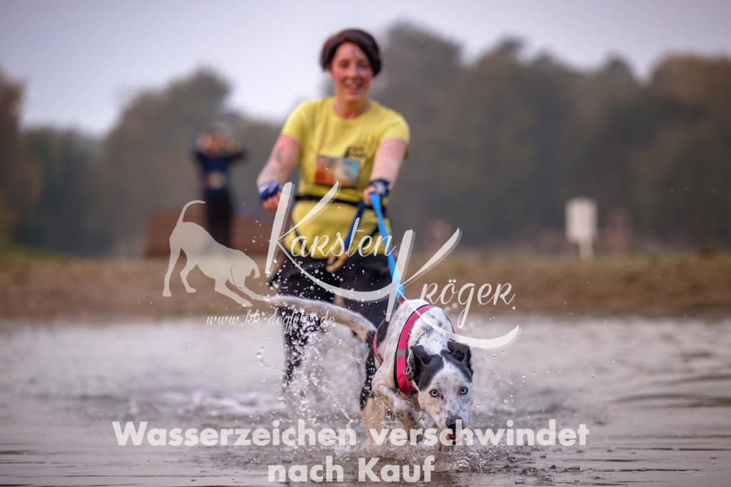 0808_ZZ90442 | kk-dogfotos