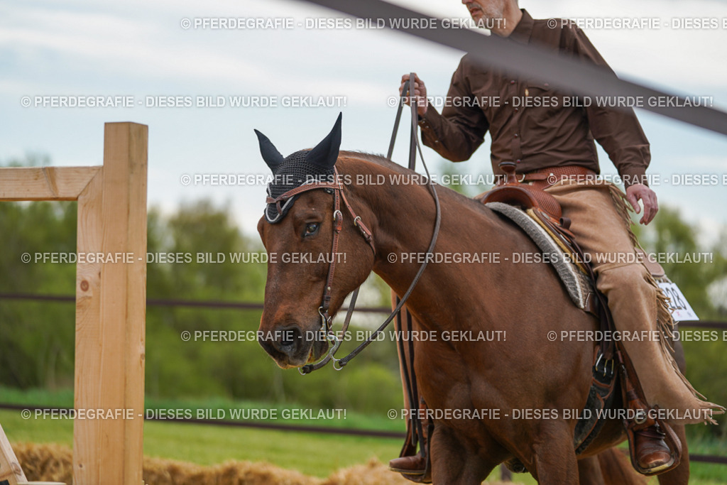 DSC02872 | Pferdegrafie