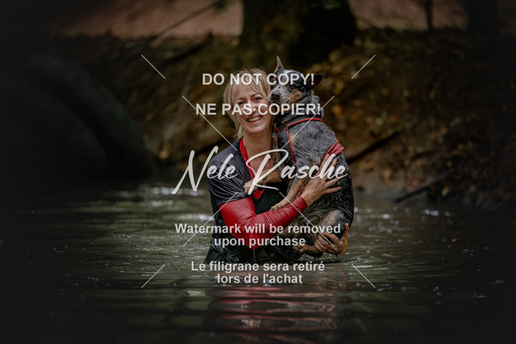nelerasche_SaWingst1200-1230_252 | nelerasche