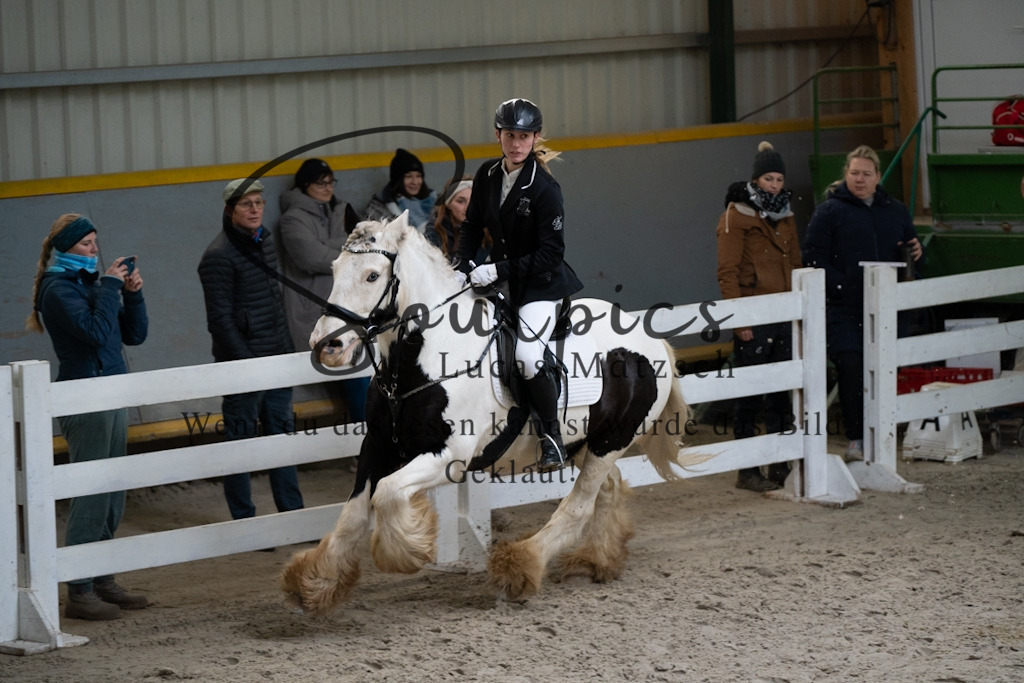 A7V00927 | Pferdefotograf