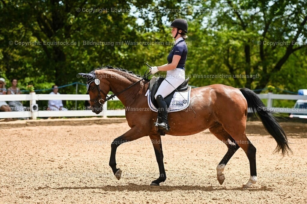 20230715_05_Dressurprüfung Kl.A++_0095 | equistock