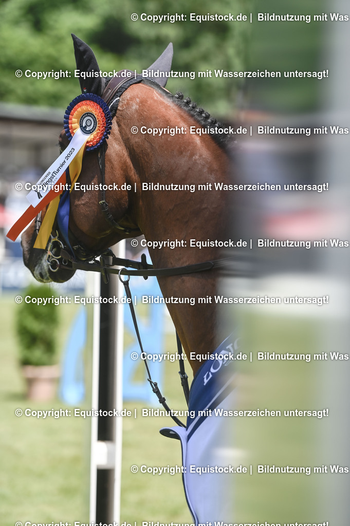 20230529_18_CSI4_Obermayr_0172 | equistock