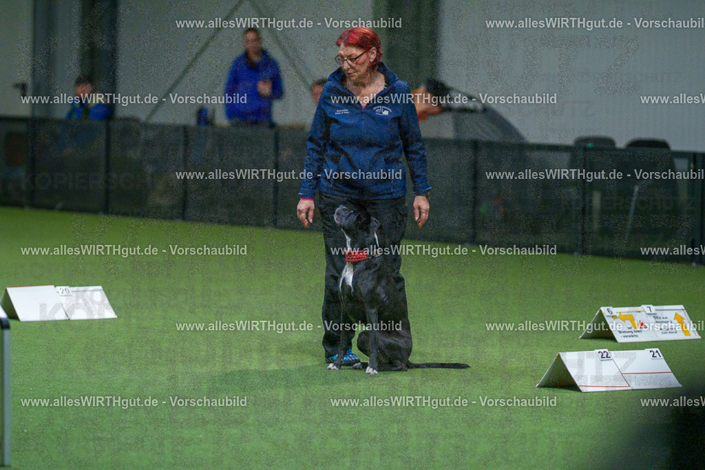 7R503224 | Professionelle Tierfotografie in Mönchengladbach von Daniel Wirth (allesWIRTHgut). Liebevolle & natürliche Bilder von Hunden & Katzen für unvergessliche Erinnerungen.