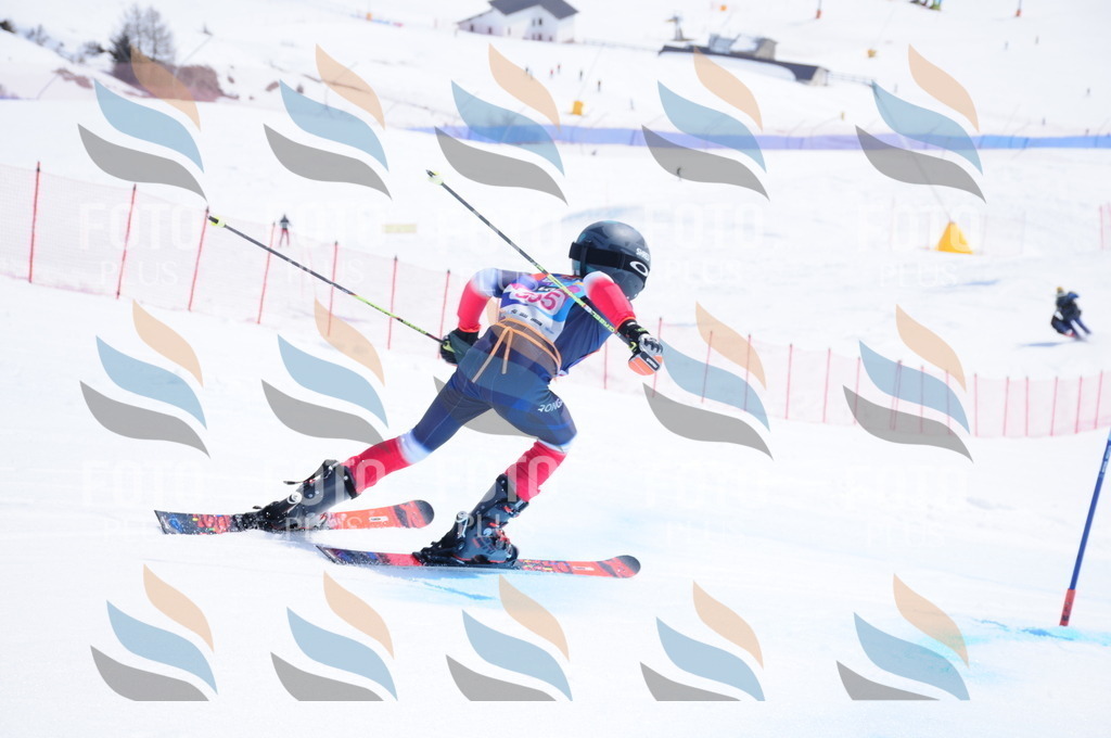 DSC_7174 | holidayphoto