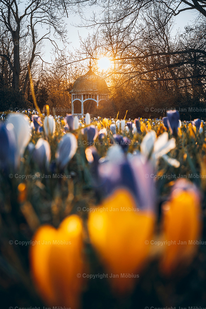_DSC0433 | Leipzig Wandbilder Drucke Prints Leinwand Stadtmotive Leipzig Fotosdruck Kunstdrucke Bilder Leipzig Stadtansichten Acrylglasbilder Leipzig Wanddeko Fine Art Prints Wandbilder Büro Leipzig Bilder Praxis Zuhause Bilderdruck Poster Posterlounge Kunstdrucke - Realisiert mit Pictrs.com