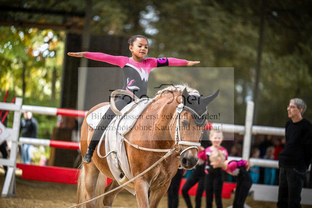 DOS_0131 | Entdecke hochwertige Reitturnierfotos von Foto Oger. Professionell, emotional und authentisch – jetzt Lieblingsmomente im Shop bestellen.Deutschlandweite Turnierfotografie. - Realisiert mit Pictrs.com