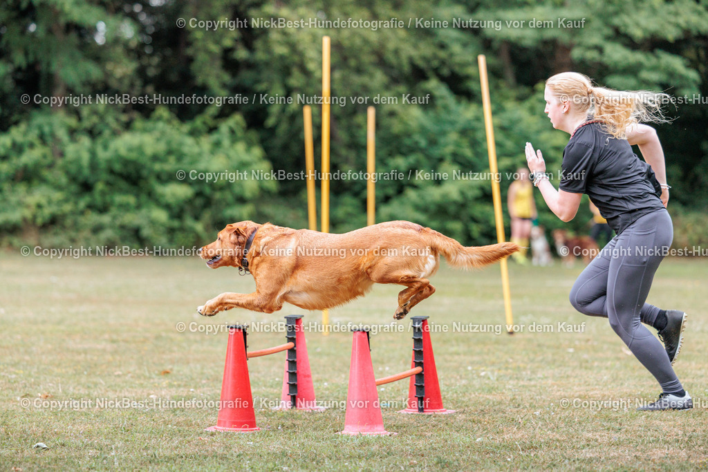 THS-Quakenbrück-2026-Nickbest-Hundefotografie-4808 | Dein Hund! Dein Moment! Deine Erinnerungen! Hundefotografie in Bremen Blumenthal. Ich fange die besonderen Momente deines Vierbeiners ein – ob Indoor mit Blitzanlage oder in der freien Natur. Sicher dir dein Moment und dein Termin für eure Erinnerungen.