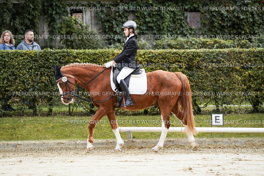 DSC05083 | Pferdegrafie