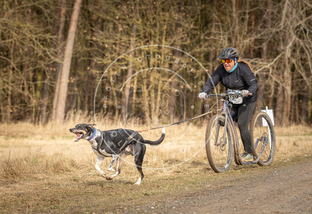 DV3A4743 | Hundefotografie, Tierfotograf, Pfotenfotografie, Fotoshooting Hund, Hunde Portrait, Hundesport, Hundeportraits, Heideshooting, Hunde, Sportfotograf, Hundefotograf, Turnierhundsport, THS,  - Realisiert mit Pictrs.com
