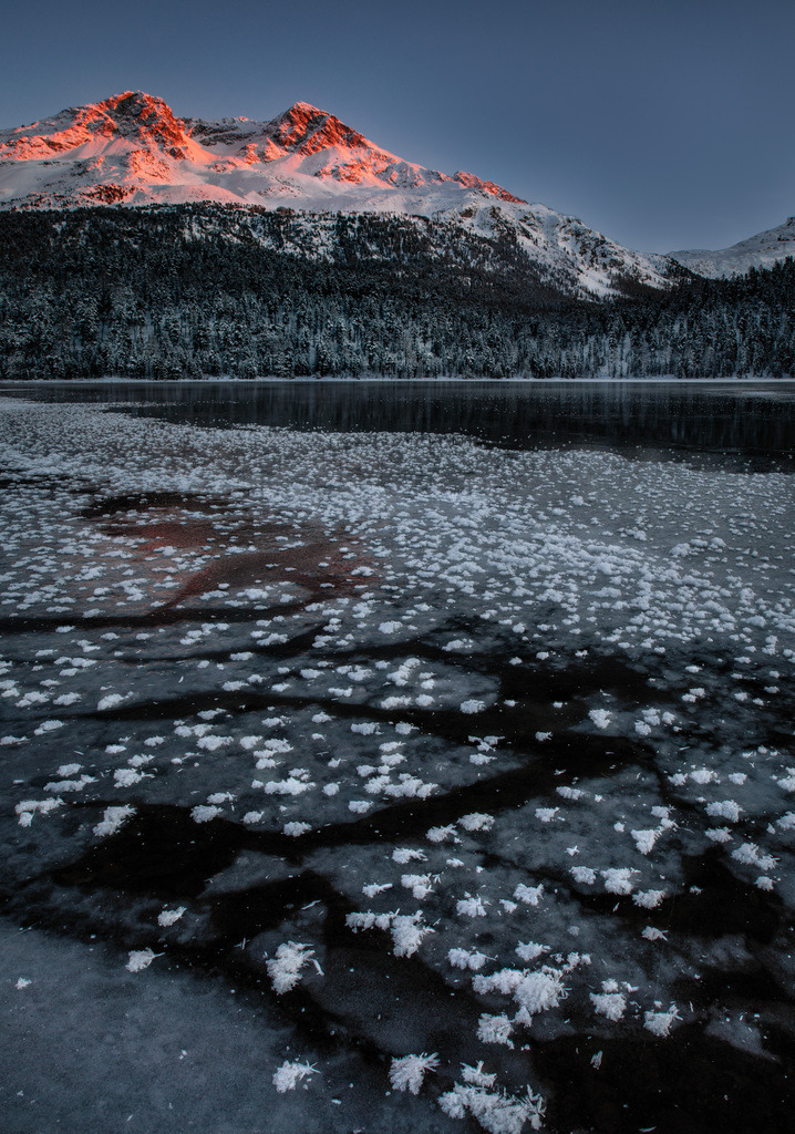 Icy Roses | Sunset Champfer - Realisiert mit Pictrs.com