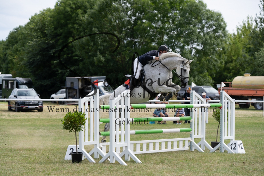 A7V02264 | Pferdefotograf