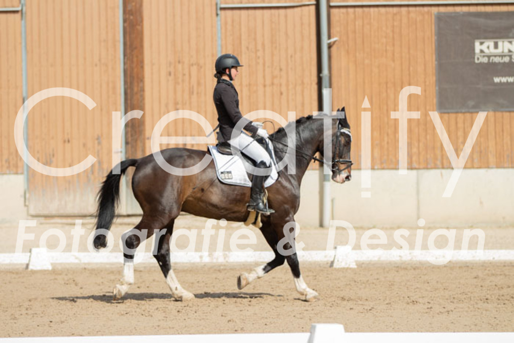 IMG_3944 | Creatify Fotografie