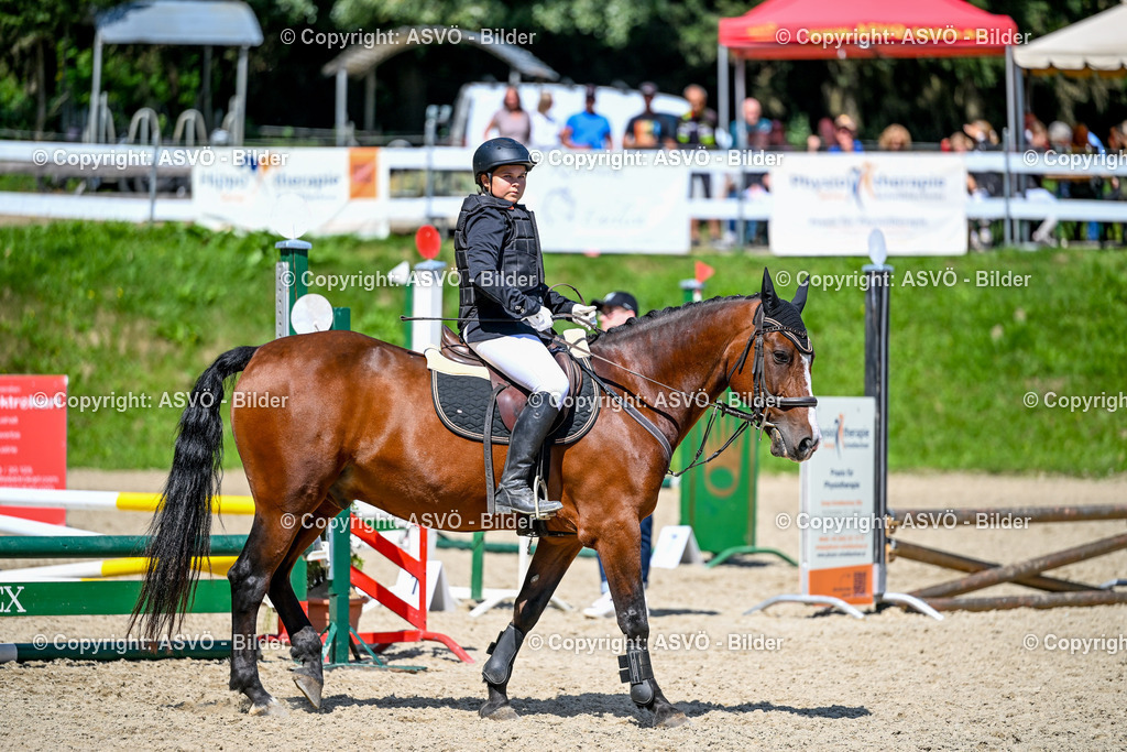ASVÖ_ Reiten Bezirksmeisterschaft_ 24.08.2025-95 | 24.08.2025, AUT, ASVÖ, Reiten Bezirksmeisterschaft 2025Dressur und Springreiten©fodo.media / Harald Dostal - Realisiert mit Pictrs.com