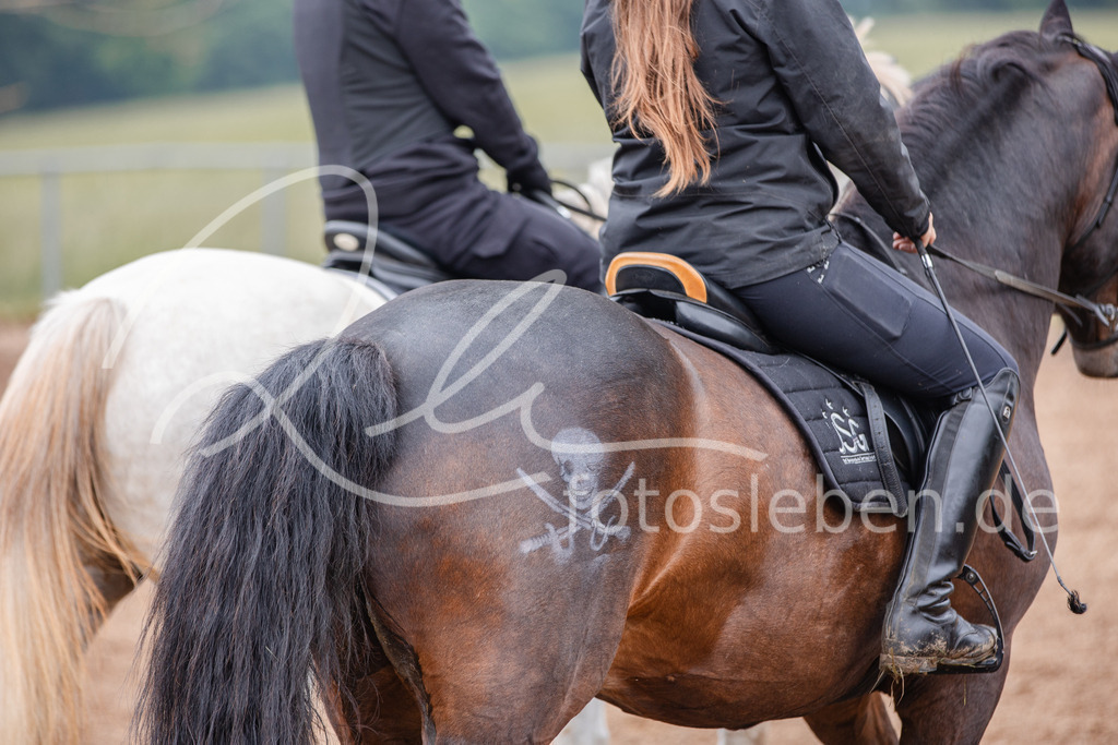 846A0350 | fotosleben - Realisiert mit Pictrs.com