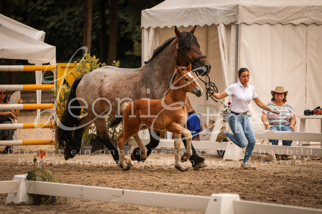 SaHF00002 | Leoni Ertmer Photography - Realisiert mit Pictrs.com