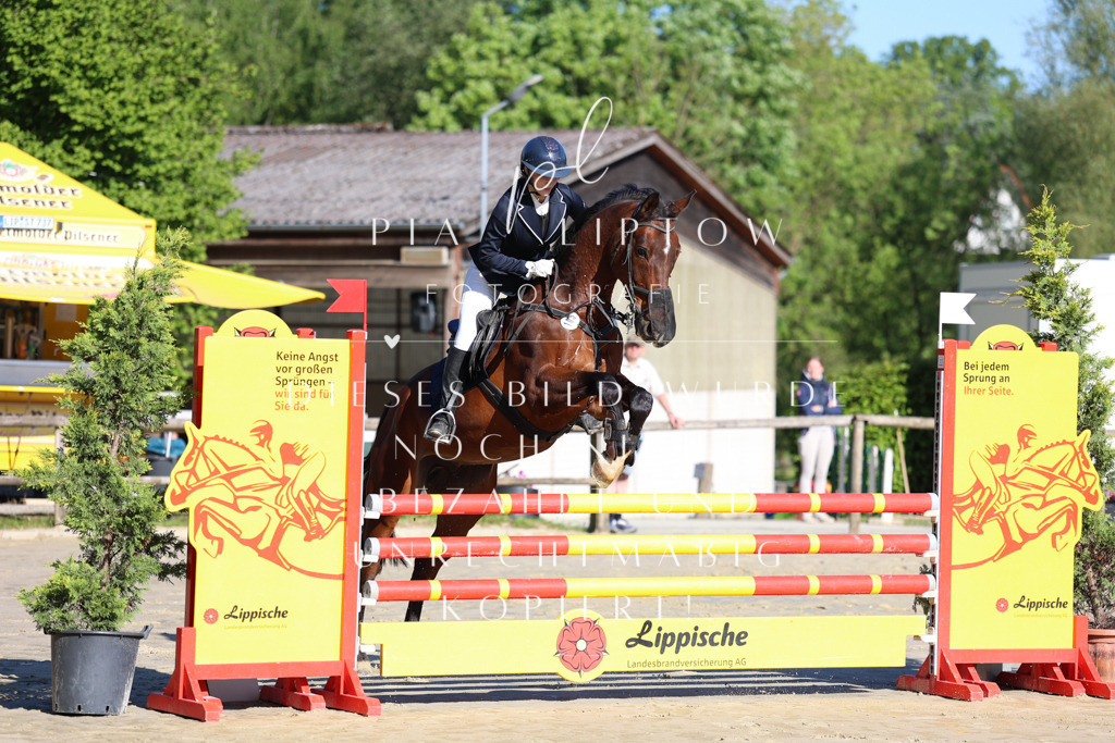 IMGS6079 | pl-fotografie