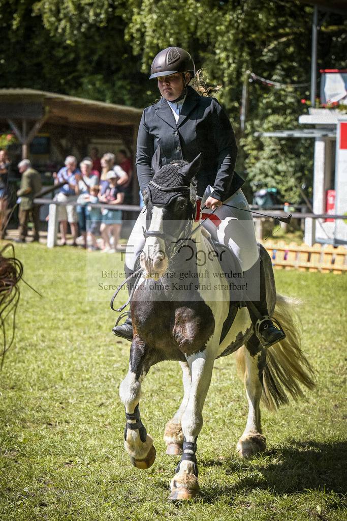 DOS_2978 | Entdecke hochwertige Reitturnierfotos von Foto Oger. Professionell, emotional und authentisch – jetzt Lieblingsmomente im Shop bestellen.Deutschlandweite Turnierfotografie. - Realisiert mit Pictrs.com