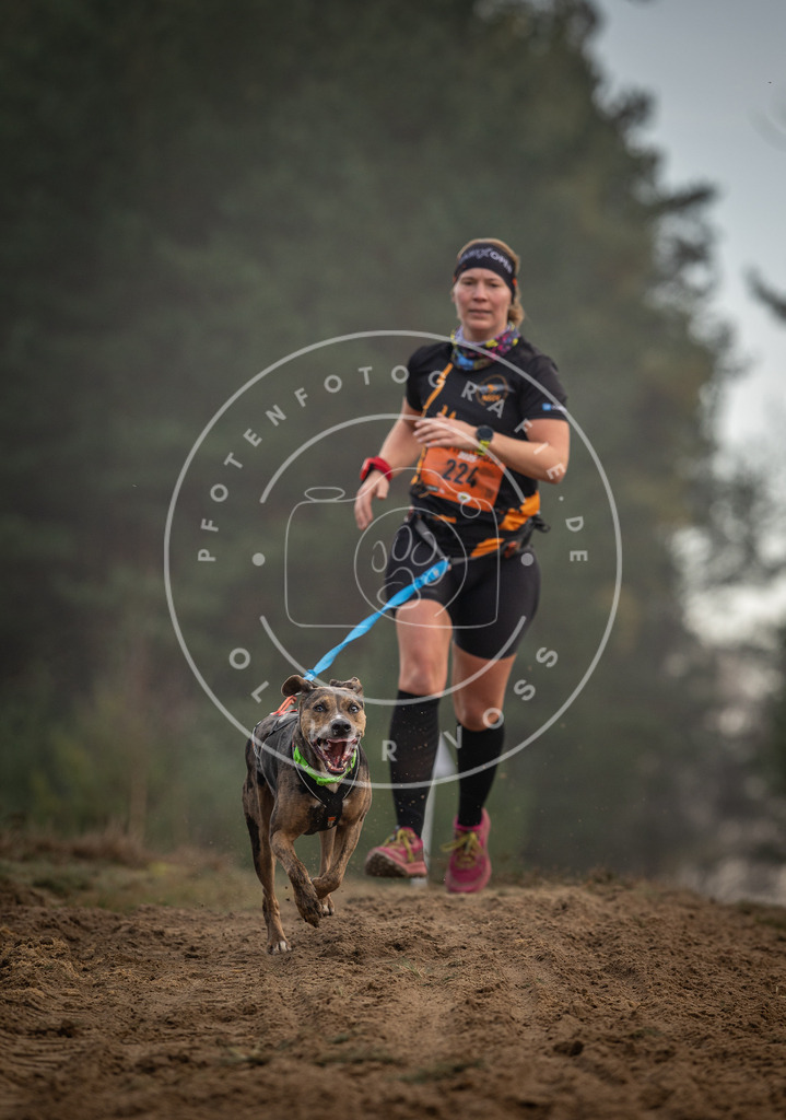 Pfotenfotografie_DV3A5395 | Hundefotografie, Tierfotograf, Pfotenfotografie, Fotoshooting Hund, Hunde Portrait, Hundesport, Hundeportraits, Heideshooting, Hunde, Sportfotograf, Hundefotograf, Turnierhundsport, THS,  - Realisiert mit Pictrs.com