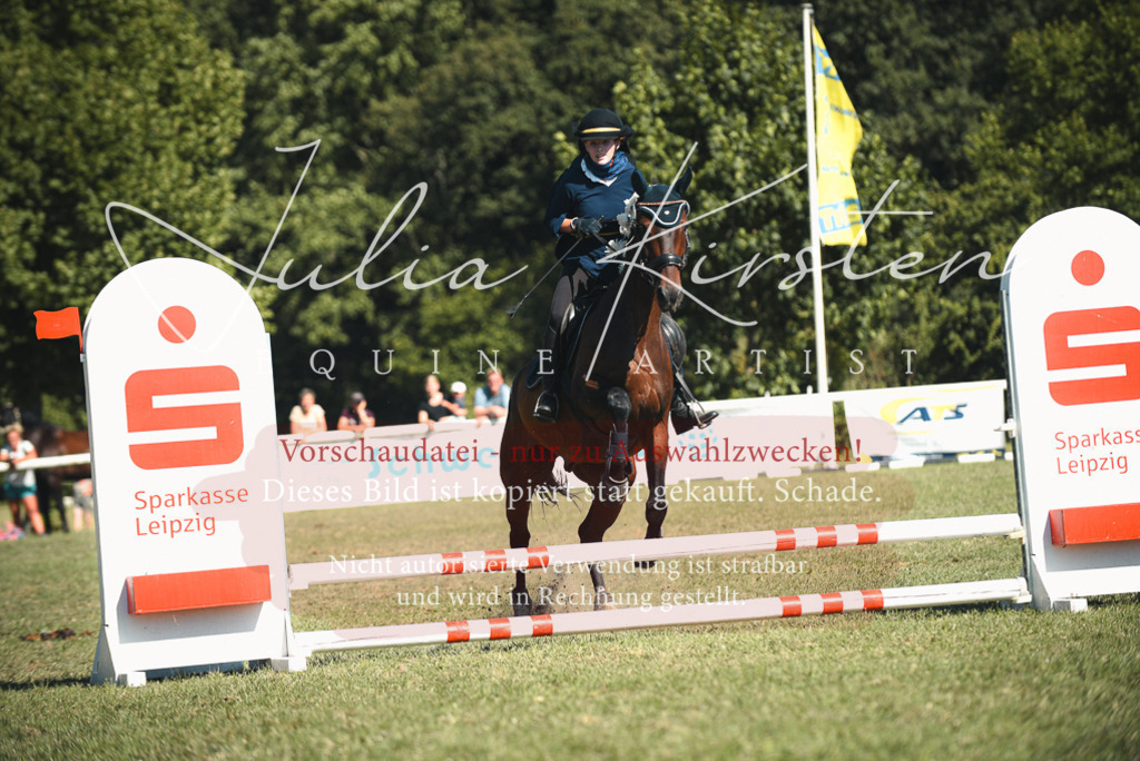 DSC_7585 | Pferde- und Turnierfotografie in Westsachsen. Pferdeportraits, Auftragszeichnungen und intuitive Kunst.