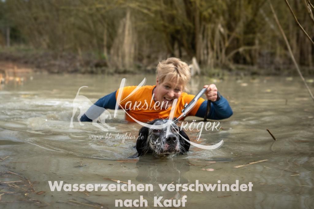 1554_ZZ94465 | kk-dogfotos