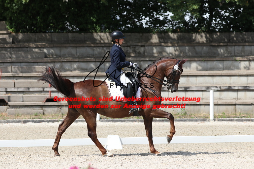 IMG_7006 | lmwpictures - Realisiert mit Pictrs.com