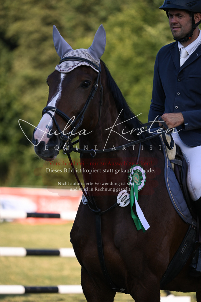 DSC_1885 | Pferde- und Turnierfotografie in Westsachsen. Pferdeportraits, Auftragszeichnungen und intuitive Kunst.