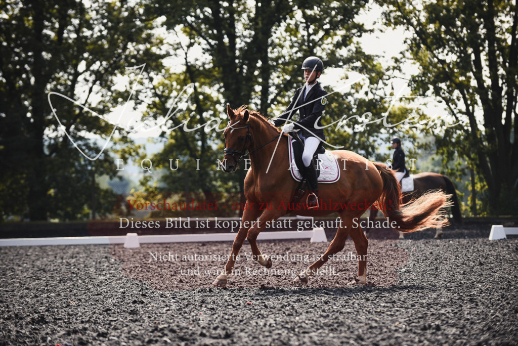 DSC_3605 | Pferde- und Turnierfotografie in Westsachsen. Pferdeportraits, Auftragszeichnungen und intuitive Kunst.