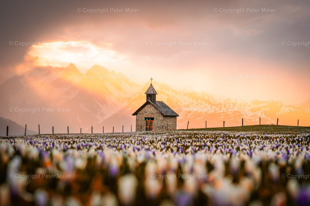 Glocknerblick-253 | piet_flosse