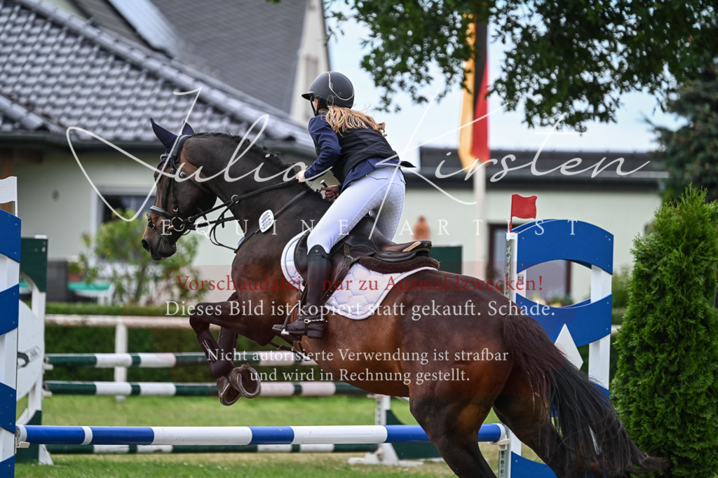 DSC_8569 | Pferde- und Turnierfotografie in Westsachsen. Pferdeportraits, Auftragszeichnungen und intuitive Kunst.