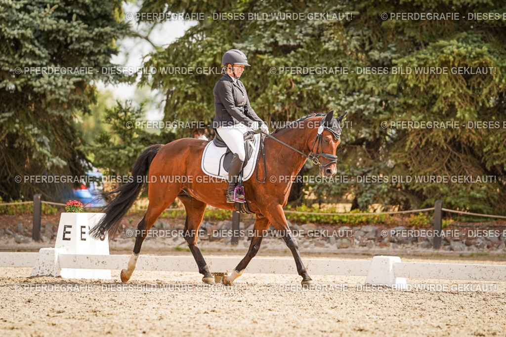 DSC01447 | Pferdegrafie