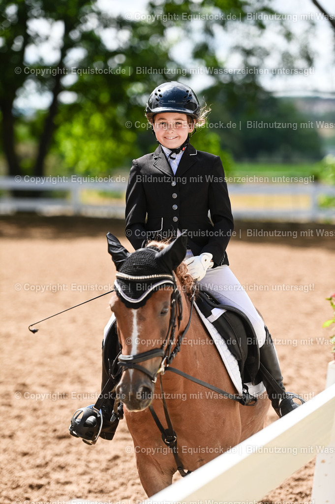 20230716_10-3_Reiter-WB Schritt - Trab - Galopp_0037 | equistock