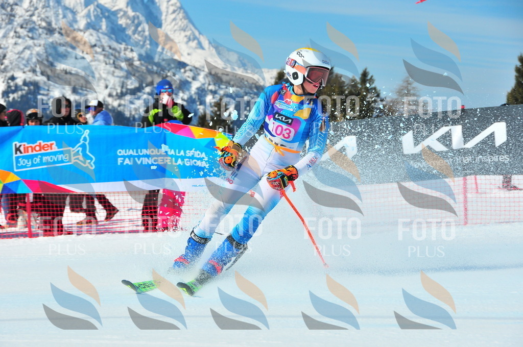 DSC_4617 | holidayphoto