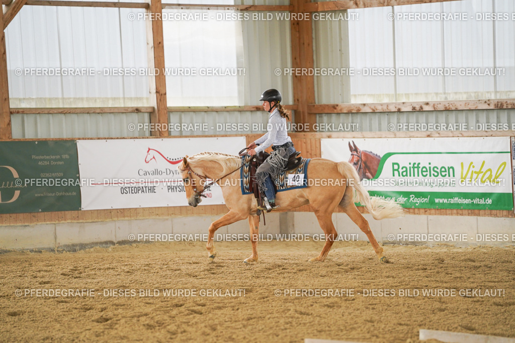 DSC03513 | Pferdegrafie