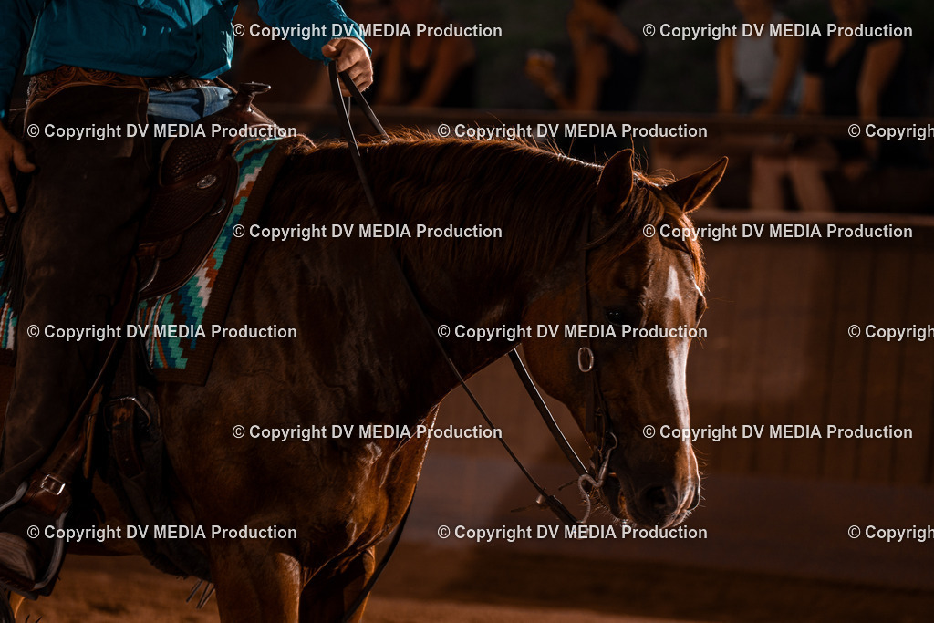 NE201544 | dv-media-shop - Realisiert mit Pictrs.com