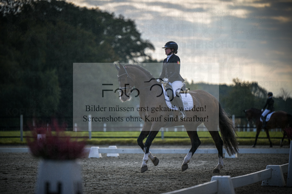 DOS_3877 | Entdecke hochwertige Reitturnierfotos von Foto Oger. Professionell, emotional und authentisch – jetzt Lieblingsmomente im Shop bestellen.Deutschlandweite Turnierfotografie. - Realisiert mit Pictrs.com