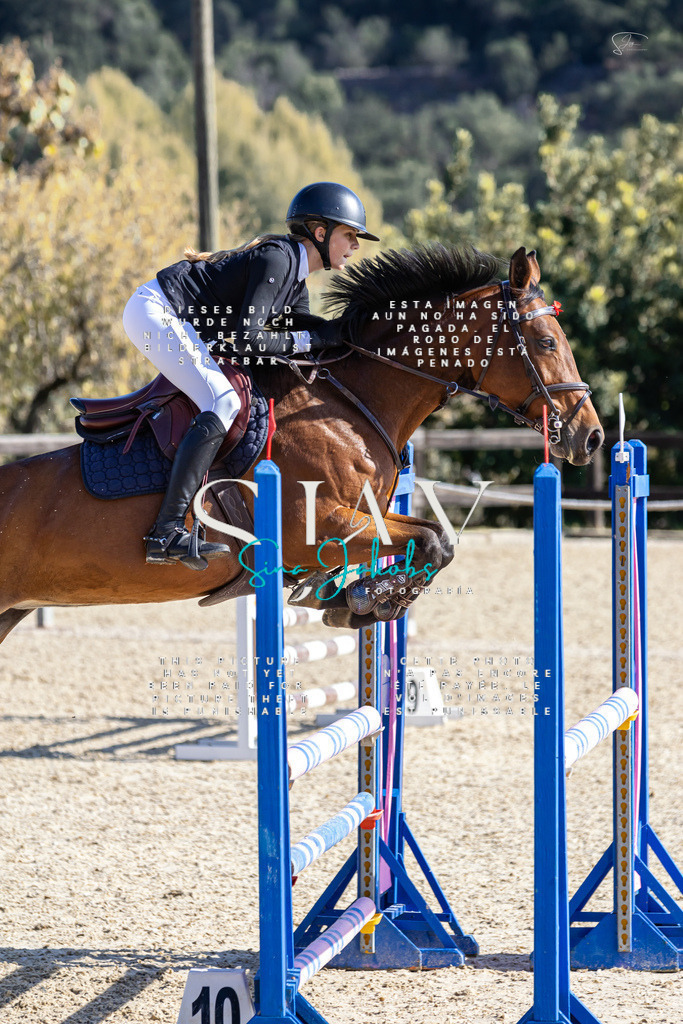 IMG_6438 | s-jay-photography - Realisiert mit Pictrs.com