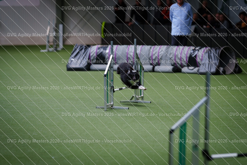 allesWIRTHgut_Tierfotografie-DVG_Agility_Masters_2026-12_36-7R508819 | Professionelle Tierfotografie in Mönchengladbach von Daniel Wirth (allesWIRTHgut). Liebevolle & natürliche Bilder von Hunden & Katzen für unvergessliche Erinnerungen.