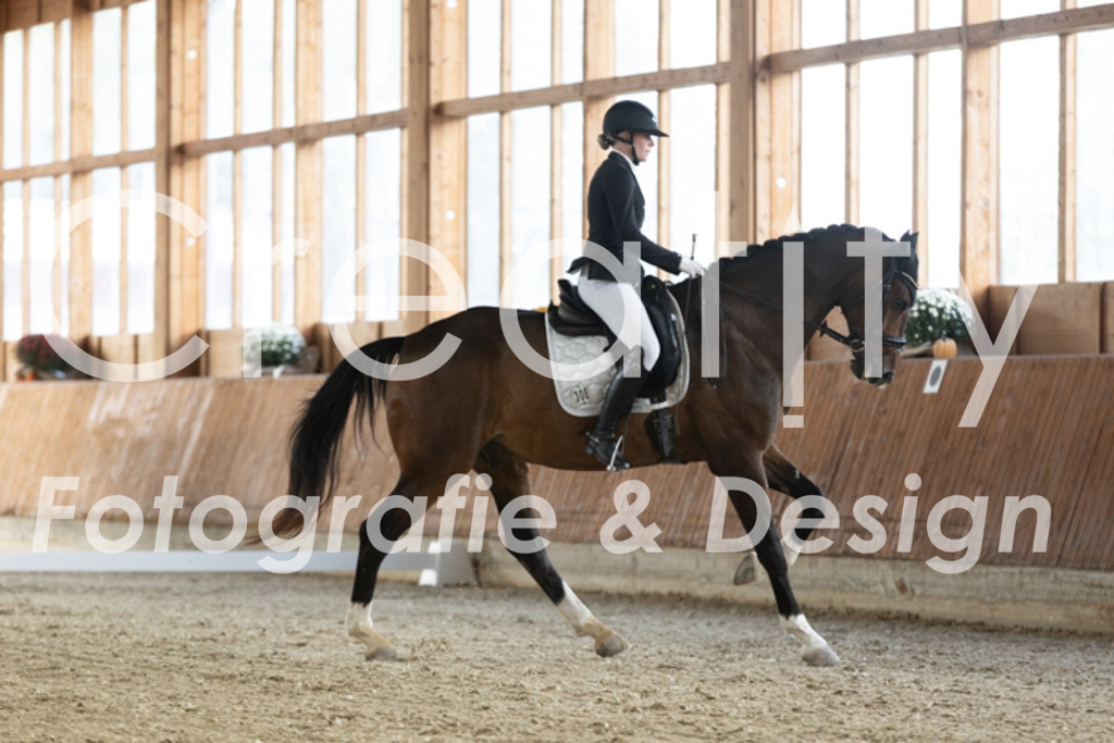 IMG_2510 | Creatify Fotografie