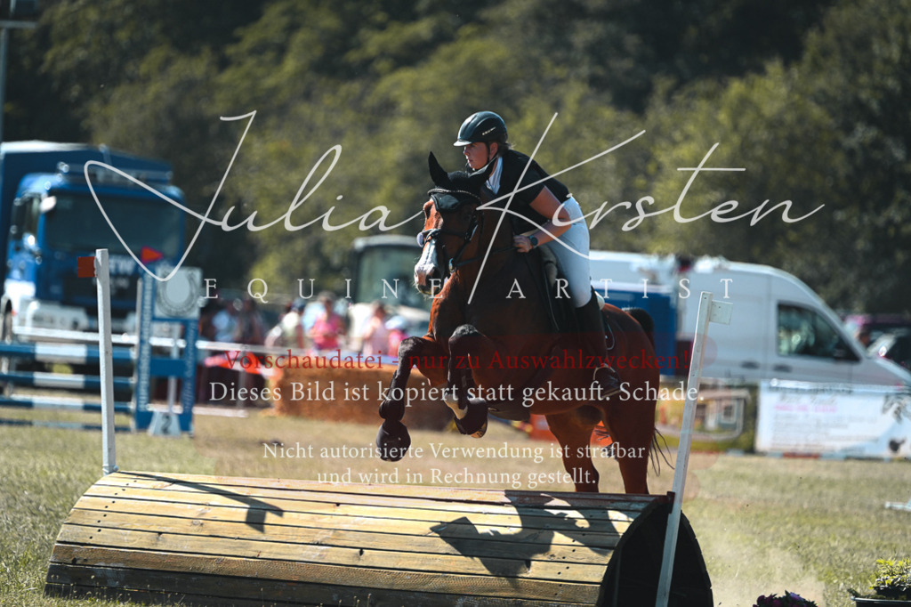 DSC_8122 | Pferde- und Turnierfotografie in Westsachsen. Pferdeportraits, Auftragszeichnungen und intuitive Kunst.