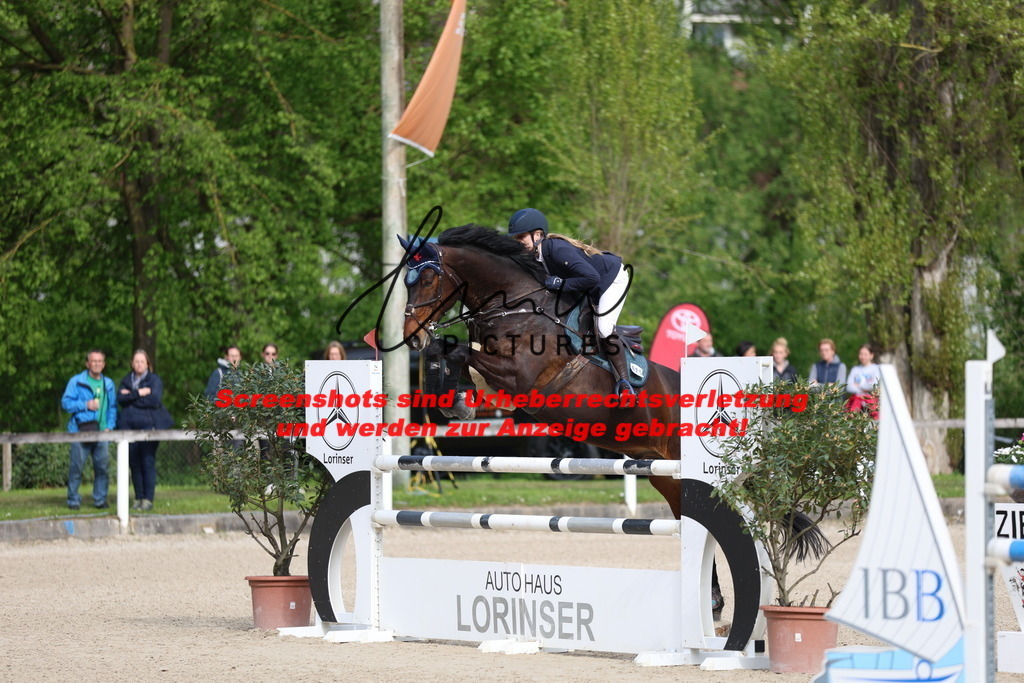 A40A2961 | lmwpictures - Realisiert mit Pictrs.com