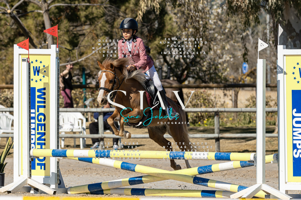 IMG_8761 | s-jay-photography - Realisiert mit Pictrs.com