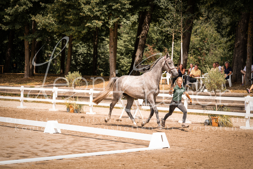 1.Fr00179 | Leoni Ertmer Photography - Realisiert mit Pictrs.com